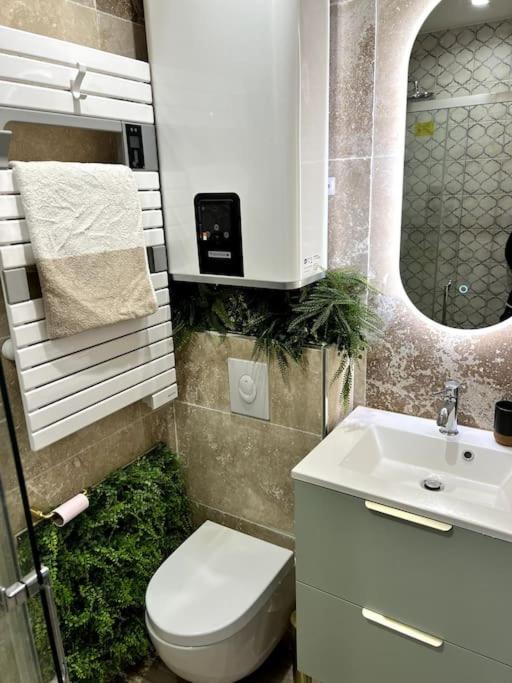 Studio 2 Neuf A 100M Des Plages Et De La Gare Saint-Raphaël エクステリア 写真