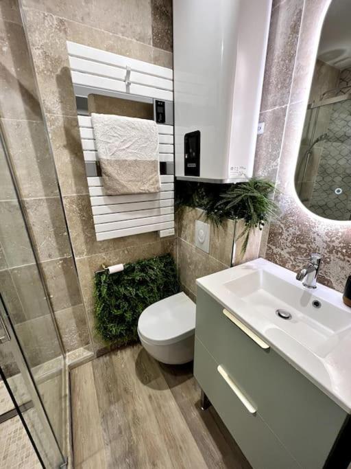 Studio 2 Neuf A 100M Des Plages Et De La Gare Saint-Raphaël エクステリア 写真